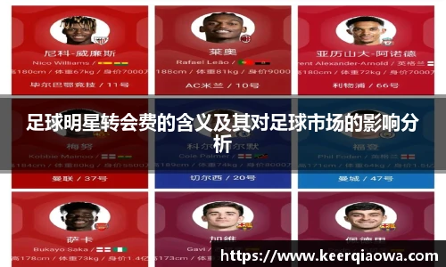 足球明星转会费的含义及其对足球市场的影响分析